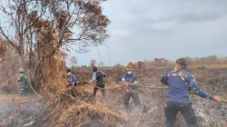 Api Muncul di Lahan Pendingin, Tim Gabungan Bergerak Cepat Cegah Karhutla Meluas