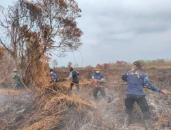 Api Muncul di Lahan Pendingin, Tim Gabungan Bergerak Cepat Cegah Karhutla Meluas