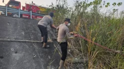 Api Mengarah ke Hutan di Pinggir Tol Balsam, Tim Gabungan Terobos Semak hingga 1 Hektare Lahan Berhasil Diselamatkan
