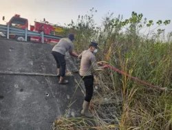 Api Mengarah ke Hutan di Pinggir Tol Balsam, Tim Gabungan Terobos Semak hingga 1 Hektare Lahan Berhasil Diselamatkan