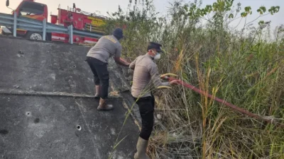 Api Mengarah ke Hutan di Pinggir Tol Balsam, Tim Gabungan Terobos Semak hingga 1 Hektare Lahan Berhasil Diselamatkan