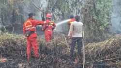 Api Membakar 2 Hektare Lahan Gambut di Tol Balsam, Tim Gabungan Berjibaku hingga Dini Hari