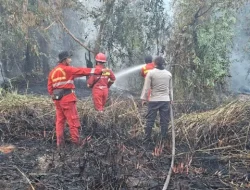 Api Membakar 2 Hektare Lahan Gambut di Tol Balsam, Tim Gabungan Berjibaku hingga Dini Hari