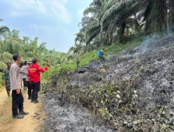Hotspot Terdeteksi di Tanjung Harapan, Polisi Temukan Titik Api Seluas 3 Hektare