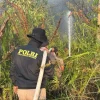Api Mengancam Hutan Lindung, Polisi dan Tim Gabungan Bergerak Cepat Padamkan Karhutla di Tol KM 50