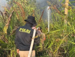 Api Mengancam Hutan Lindung, Polisi dan Tim Gabungan Bergerak Cepat Padamkan Karhutla di Tol KM 50