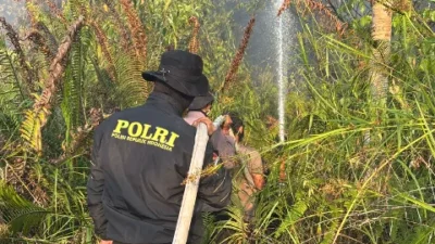 Api Mengancam Hutan Lindung, Polisi dan Tim Gabungan Bergerak Cepat Padamkan Karhutla di Tol KM 50