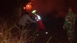 Api Kepung 6 Hektare Lahan Pertamina EP di Anggana, Tim Gabungan Berjibaku hingga Dini Hari