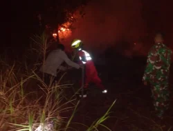 Api Kepung 6 Hektare Lahan Pertamina EP di Anggana, Tim Gabungan Berjibaku hingga Dini Hari