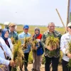 Bertahan Hadapi El Nino dan Lahan Salin, BRIN-PGN-Pemkab Batang Panen Raya 166,5 Ton Padi Biosalin
