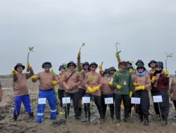 Perkuat Ketahanan Pesisir Utara Jawa Hadapi Perubahan Iklim, PGN Grup Tanam Lebih Dari 269.000 Mangrove