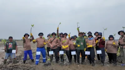 Perkuat Ketahanan Pesisir Utara Jawa Hadapi Perubahan Iklim, PGN Grup Tanam Lebih Dari 269.000 Mangrove