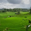 Lampaui Target, LP2B Capai 87,63% di Momen Peringatan 66 Tahun UUPA