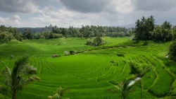 Lampaui Target, LP2B Capai 87,63% di Momen Peringatan 66 Tahun UUPA