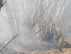 Babinsa Gerak Cepat Padamkan Kebakaran Lahan Bambu di Bojongmangu, Api Meluas Diterjang Angin